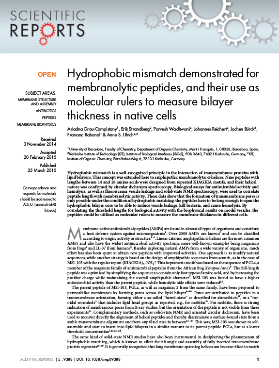 Cover der Publikation