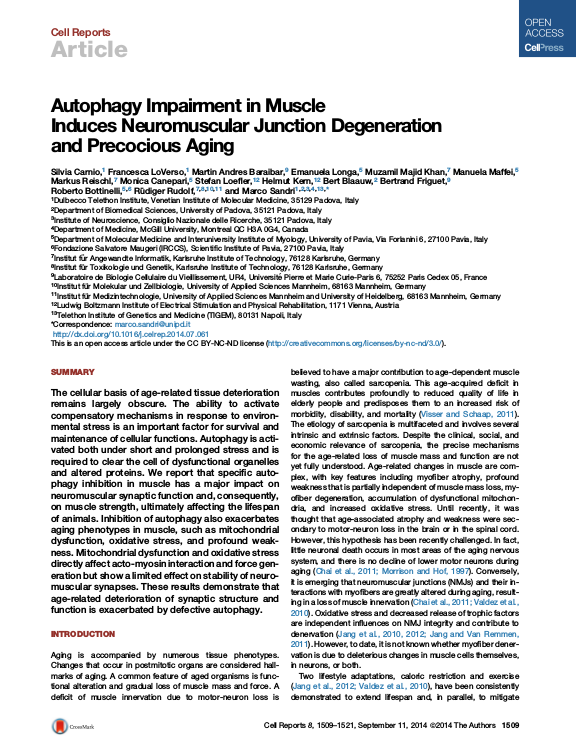 Cover der Publikation