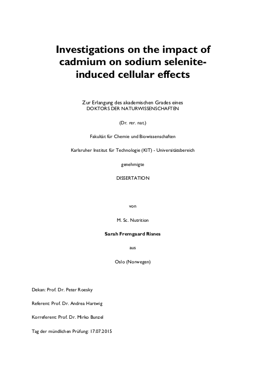 Cover der Publikation