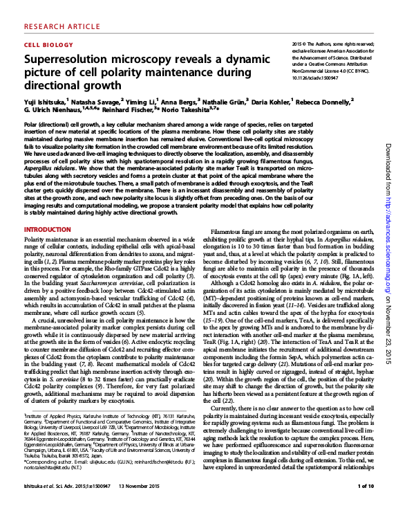 Cover der Publikation